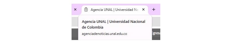 Icono y texto: Nombre del sitio web | Universidad Nacional de Colombia.